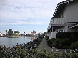 2 Bd/1 Bath Foster City 1 Bed with Waterfr in Foster City, CA (Photo 5 of 5)