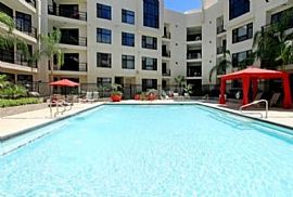 2 Bd/1 Bath Luxury Studio Apartment in T in Tempe, AZ (Photo 5 of 5)