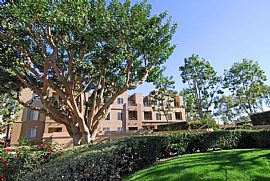 2 Bd/2 Bath San Diego 2 Bed 2 Bath Near in San Diego, CA (Photo 4 of 5)