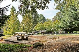 1 Bd/1 Bath The Mark at Lake Oswego Apar in Lake Grove, OR (Photo 5 of 5)