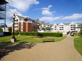 1 Bd/1 Bath Fully-Equipped Kitchens And in Mamaroneck, NY (Photo 3 of 5)