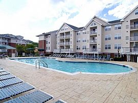 1 Bd/1 Bath Fully-Equipped Kitchens And in Mamaroneck, NY (Photo 5 of 5)