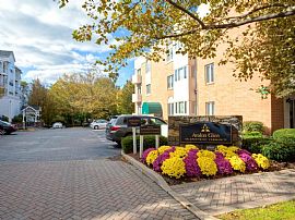 2 Bd/2 Bath 2bed/2bath in Stamford,Pets in Stamford, CT (Photo 3 of 5)