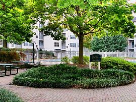 2 Bd/2 Bath 2bed/2bath in Stamford,Pets in Stamford, CT (Photo 5 of 5)