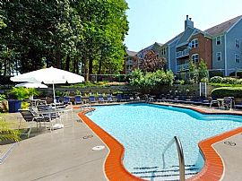 2 Bd/2 Bath Mins to Downtown and George Ma in Fairfax, VA (Photo 5 of 5)