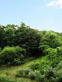 2 Bd/2 Bath Located Between Boston and Pro in Sharon, MA (Photo 3 of 5)