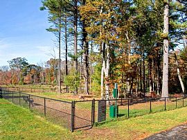 2 Bd/2 Bath Get Your $50 Application Fee in Randolph, MA (Photo 4 of 5)