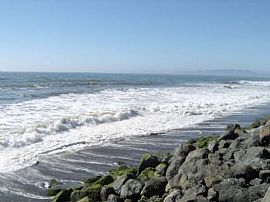 2 Bd/1 Bath 1 Bed in Pacifica.  Located in Pacifica, CA (Photo 4 of 5)