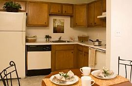 Pet Friendly, Great Views! in Colorado Springs, CO (Photo 2 of 4)