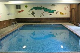 Pet Friendly, Great Views! in Colorado Springs, CO (Photo 4 of 4)