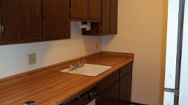 $250 Off First Month'S Rent! in Sacramento, CA (Photo 3 of 5)