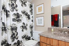 0 Bd/1 Bath Spacious and Stylish Designe in Houston, TX (Photo 5 of 5)