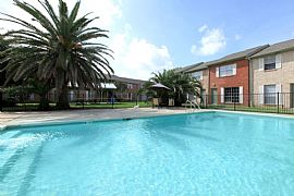 1 Bd/1 Bath Welcome Home to The Palms Of in Lake Jackson, TX