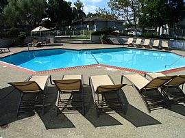 2 Bd/1 Bath Foster City 1 Bed: Sand Voll in Foster City, CA