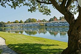 2 Bd/1 Bath Foster City 1 Bed: Sand Voll in Foster City, CA (Photo 4 of 5)