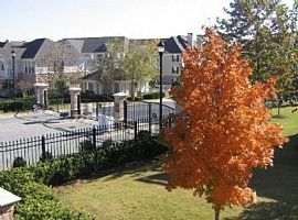 2 Bd/1 Bath Reserve at Sugarloaf Offers in Duluth, GA (Photo 4 of 5)