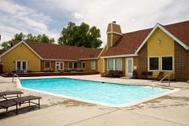 Sparking Swimming Pool! in Arvada, CO