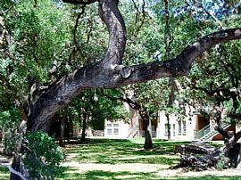 2 Bd/1 Bath 1bd/1bath - Pet Friendly Liv in San Antonio, TX (Photo 2 of 5)