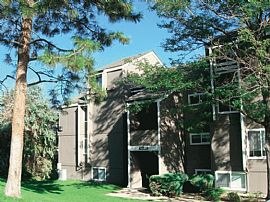 0 Bd/1 Bath Studio with Walk in Closet! in Denver, CO (Photo 5 of 5)