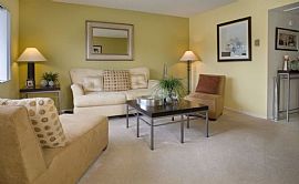 1 Bd/1 Bath Free Air-Conditioning, Pools in Davie, FL (Photo 3 of 5)