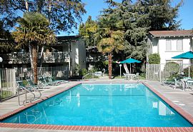 2 Bd/1 Bath Fremont Studio Minutes From in Fremont, CA (Photo 2 of 5)