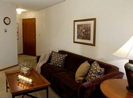 2 Bd/1 Bath Great Location with Access To in Arden Hills, MN (Photo 3 of 5)