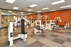 2 Bd/1 Bath Symphony Place Apartments In in Minneapolis, MN (Photo 3 of 5)