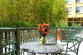 2 Bd/2 Bath Santa Cruz Studio Minutes Fr in Bonny Doon, CA (Photo 4 of 5)