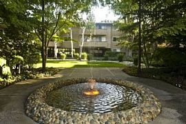 2 Bd/2 Bath Palo Alto Studio with Large Pr in Palo Alto, CA (Photo 4 of 4)