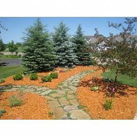 Beautiful 5 Bedroom Home in New Market in New Market, MN (Photo 5 of 5)