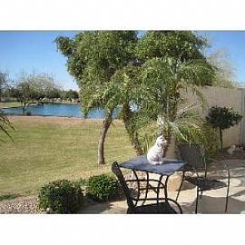 3 Bed / 2.5 Bath in Gilbert on The Lake in Gilbert, AZ (Photo 4 of 5)