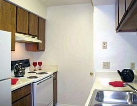 Austin Apartments Near Downtown with Pools in Austin, TX (Photo 3 of 5)