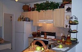 1 Bd/1 Bath Sanctuary at Highland Oaks - in East Lake, FL (Photo 2 of 5)