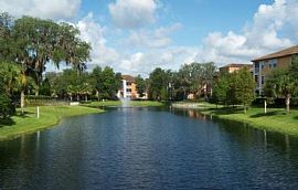 1 Bd/1 Bath Sanctuary at Highland Oaks - in East Lake, FL (Photo 4 of 5)