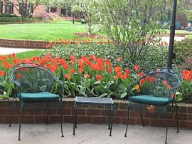 2 Bd/2 Bath River North Community, Commu in Chicago, IL (Photo 5 of 5)