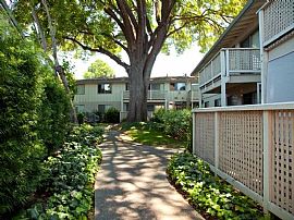 0 Bd/1 Bath Walking Distance to Downtown in Mountain View, CA (Photo 3 of 5)