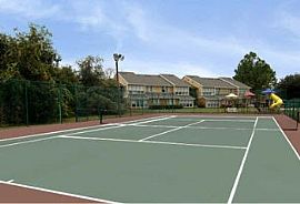 2bd Apartment at Country Place in Palm Harbor, FL (Photo 2 of 3)