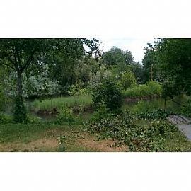 Cute Apartments Off 3300 S! in Salt Lake City, UT (Photo 3 of 5)