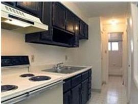 1 Bd/1 Bath Minutes From Downtown! in Denver, CO (Photo 2 of 5)