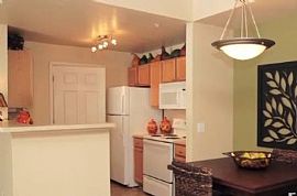 1 Bd/1 Bath Relaxing Pool and All-Season in Aurora, CO (Photo 3 of 5)