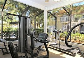 2bd Apartment at Courtney Cove in Tampa, FL