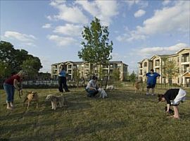 2bd Apartment at Anderson Mill in Austin, TX