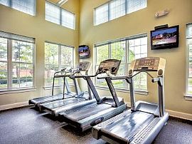 3bd Pet Friendly Apartments in Chestnut in Philadelphia, PA (Photo 3 of 5)