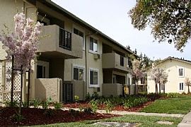 2 Bd/1 Bath Walk to Safeway, Public Tran in Pleasanton, CA (Photo 2 of 5)