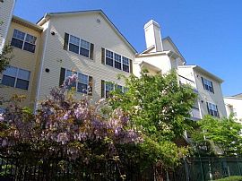 2 Bd/2 Bath 3bed/2bath in N Potomac, Pet in Darnestown, MD (Photo 2 of 5)