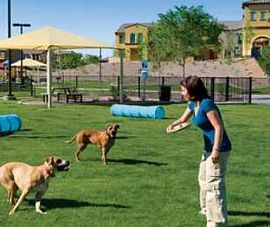 2bed/2bath in Phoenix, Pool, Dogs Ok, Sp in Guadalupe, AZ (Photo 5 of 5)