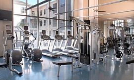 2 Bedroom Apartment at The Eclipse in Houston, TX