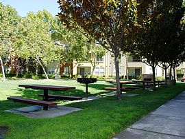 2 Bd/2 Bath Concierge Services, Covered in Sunnyvale, CA (Photo 5 of 5)