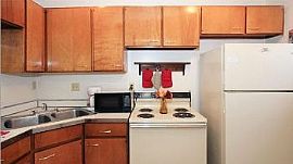 2 Bedroom Apartment at Falling Creek Apa in Ampthill, VA (Photo 3 of 3)