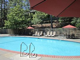 1 Bd/1 Bath Madera Valley Apartment Home in Corte Madera, CA